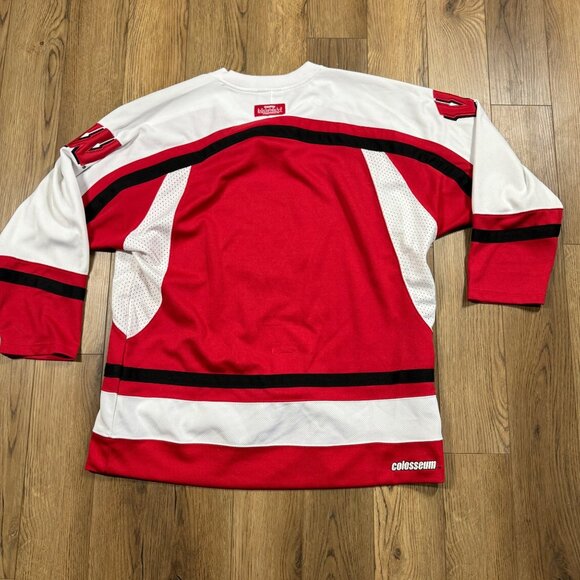Wisconsin Badgers Hockey Jersey Colosseum Athletics Mens Large UW Madison - Picture 2 of 9